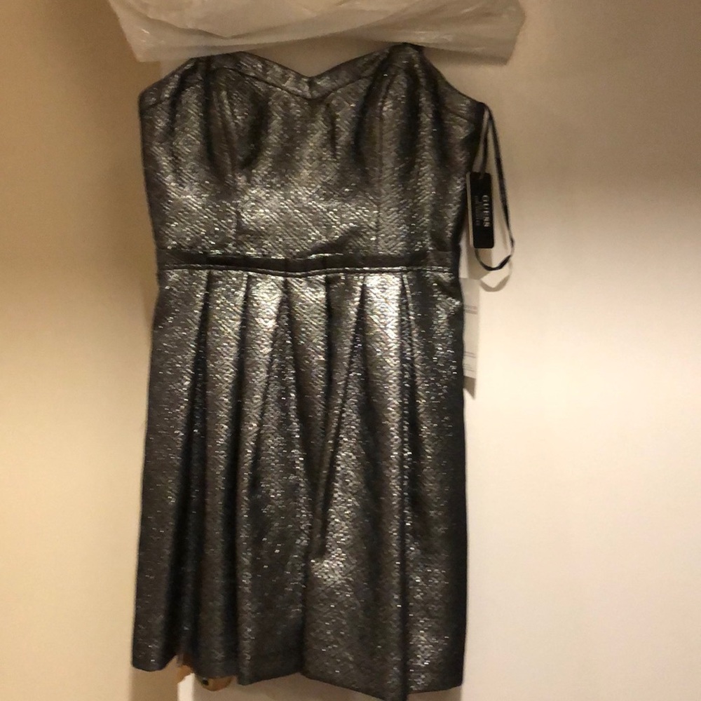 BNWT silver Cocktail dress. Perfect for holidays!